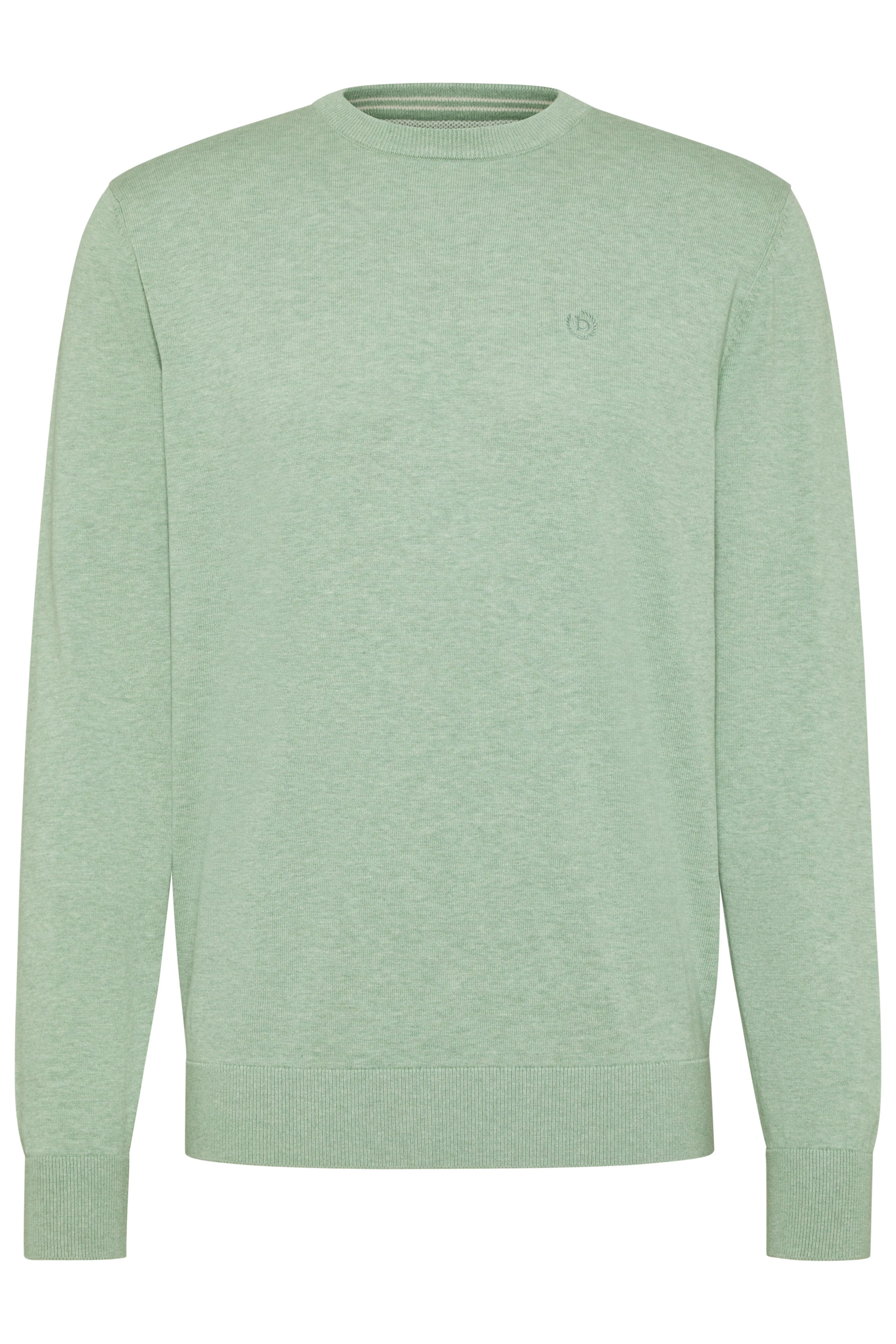 Grüner bugatti Pullover, legeres Büstenbild, minimalistisches Design.