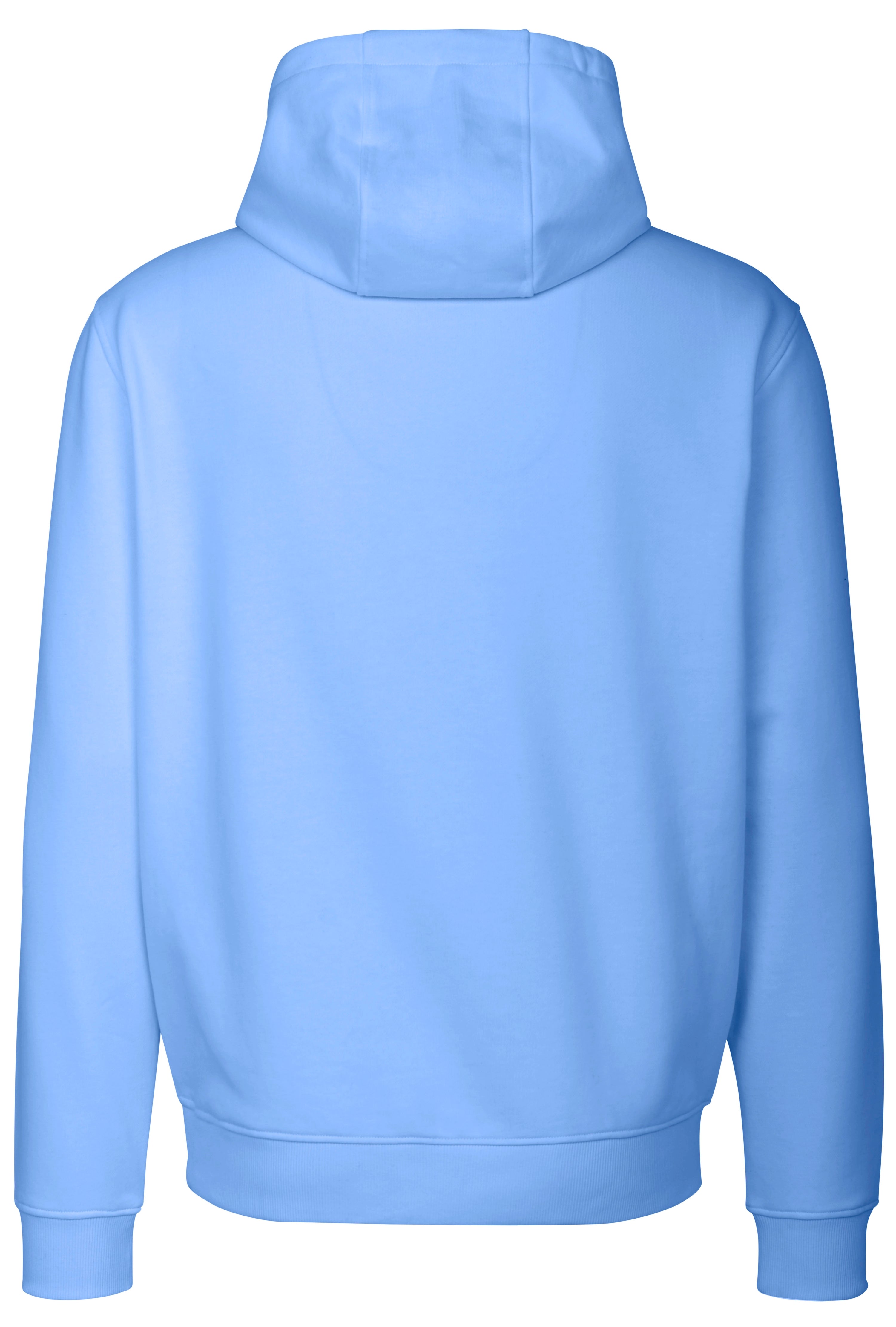 Hellblauer bugatti Kapuzenpullover Rückansicht, legeres Büstenbild.
